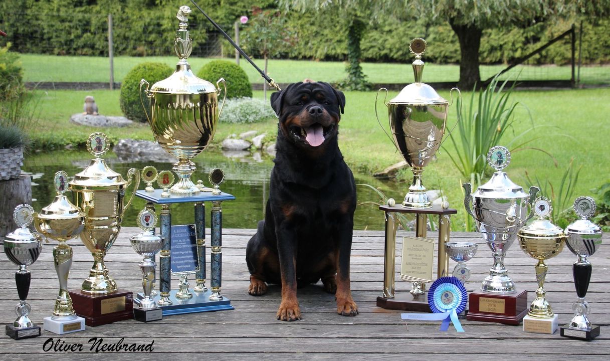 Eskin vom Blauen Stahl